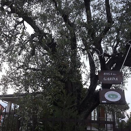 B&B Rosa Del Gardaラツィーゼ エクステリア 写真